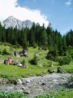 brenta2006_004.jpg