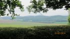 img_2206.jpg