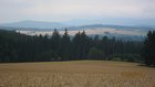 img_2223.jpg