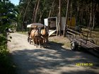 img_3280.jpg