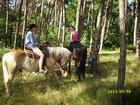 img_3283.jpg