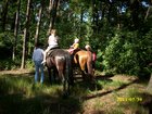 img_3301.jpg