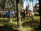 img_3302.jpg