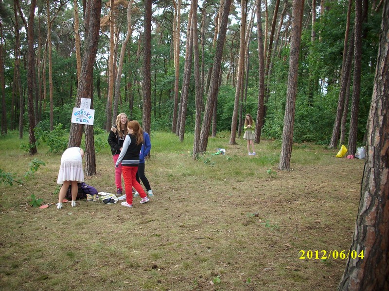 n_img_0335.jpg