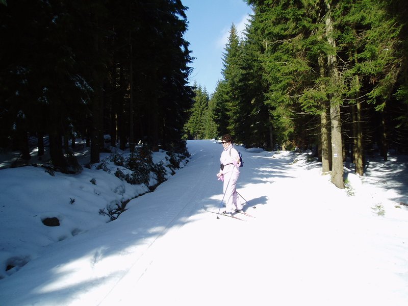 p1010021.jpg