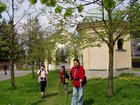 p1010052.jpg