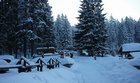 p1040950.jpg