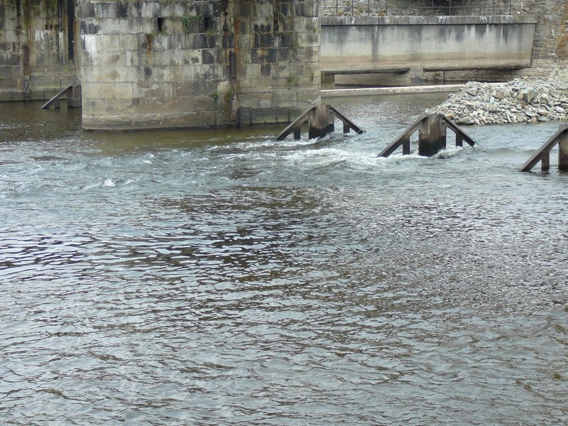p1010017b.jpg