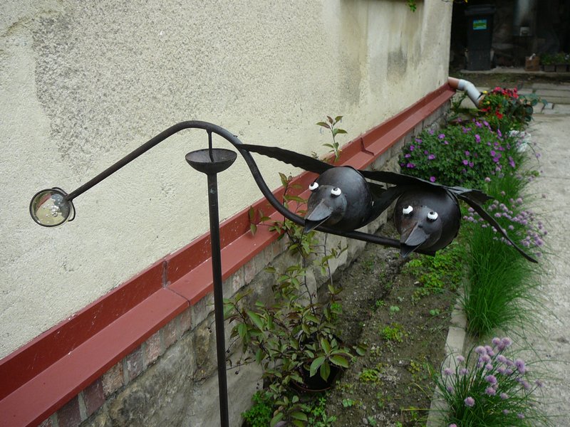 p1010030a.jpg