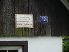 luzhory__35).jpg