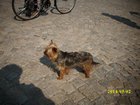 img_1244.jpg