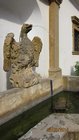 img_1702.jpg
