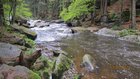 img_1727.jpg