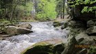 img_1728.jpg