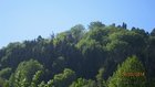 img_1741.jpg