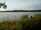 p1010088.jpg