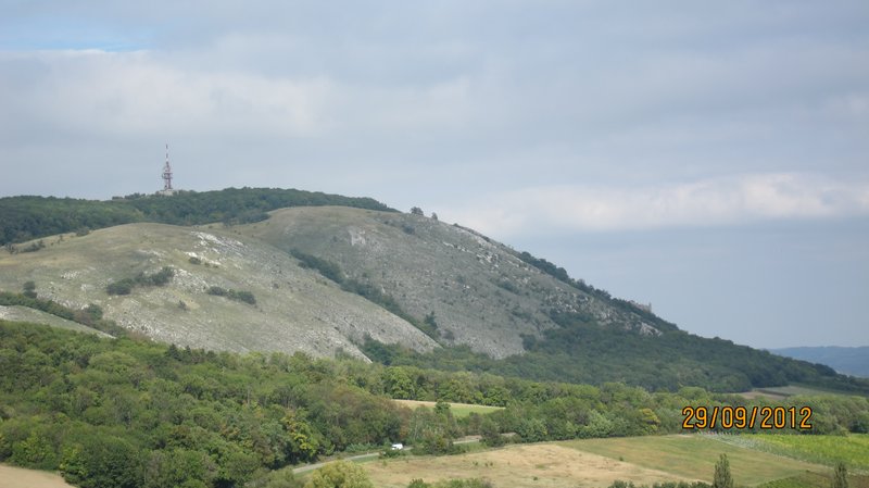 img_7356.jpg