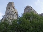 p1010037.jpg
