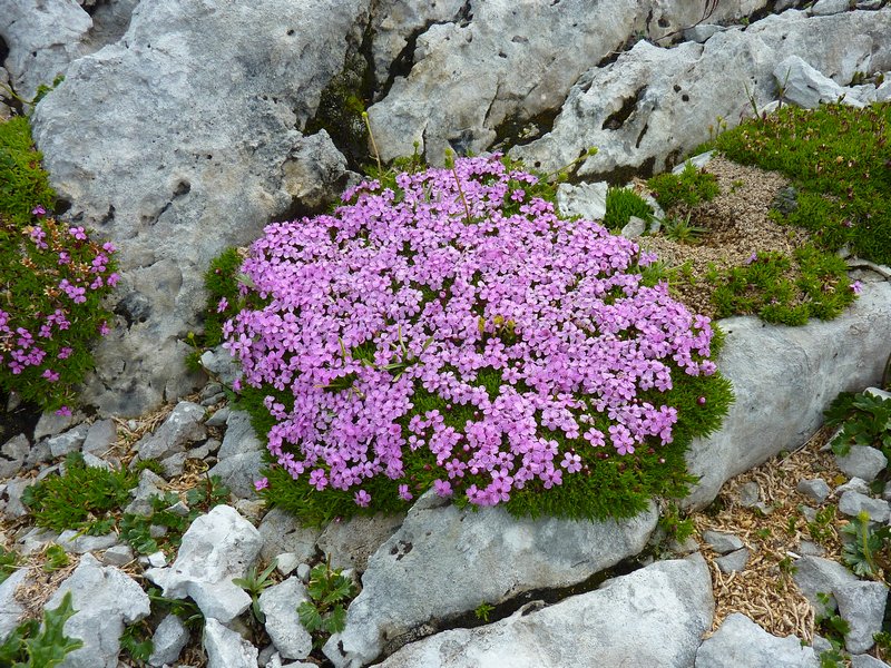 p1120555.jpg