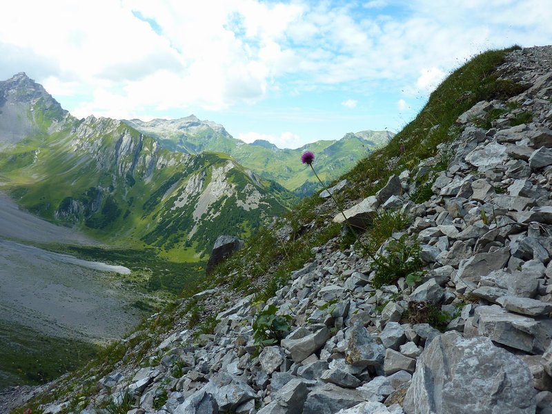 p1120618.jpg