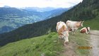 img_2425.jpg