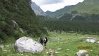 img_2472.jpg