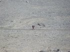 img_6336.jpg