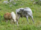 dsc00332.jpg
