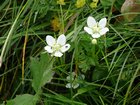 dsc00479.jpg