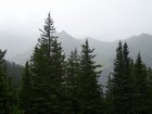 dsc09314.jpg