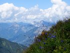 dsc09650.jpg