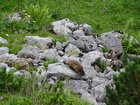dsc09675.jpg