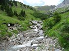 dsc09690.jpg