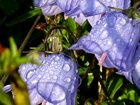 dsc09873.jpg