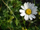 dsc09881.jpg