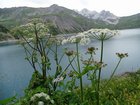 dsc09949.jpg