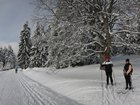 img_1478.jpg