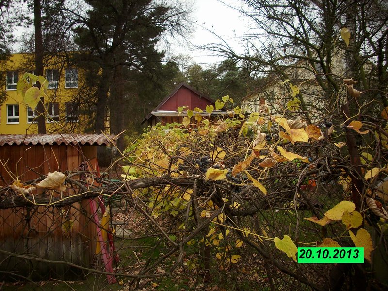 img_0927.jpg