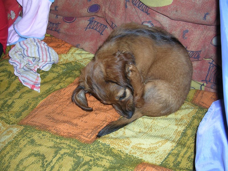 dscn2006.jpg