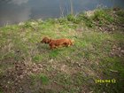 img_2944.jpg
