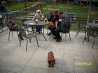img_2988.jpg