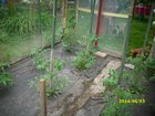 img_3068.jpg
