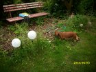 img_3072.jpg
