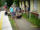 img_3123.jpg