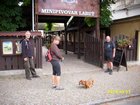 img_3242.jpg