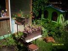 img_3274.jpg