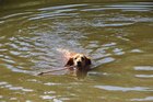 img_3329.jpg