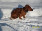 img_1859.jpg