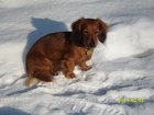 img_1860.jpg