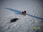 img_1886.jpg